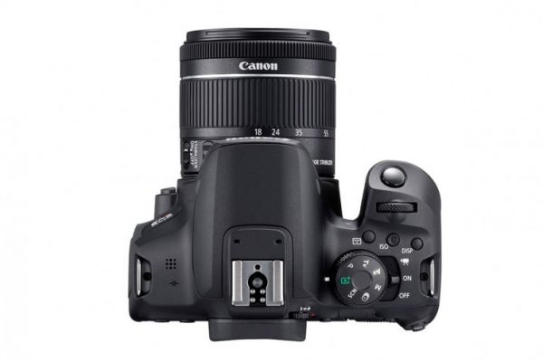 معرفی دوربین Canon EOS Rebel T8i