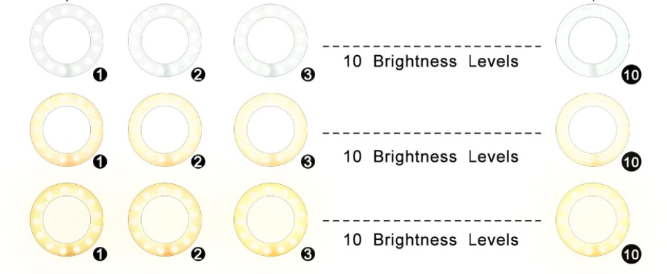 رینگ لایت قابل انعطاف بازویی 